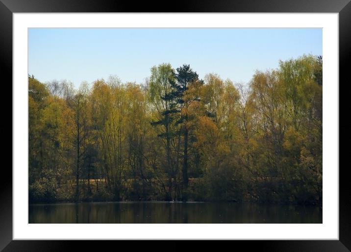 Woodland Across the Lake  Framed Mounted Print by Jon Fixter