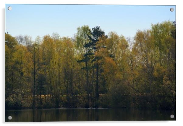 Woodland Across the Lake  Acrylic by Jon Fixter