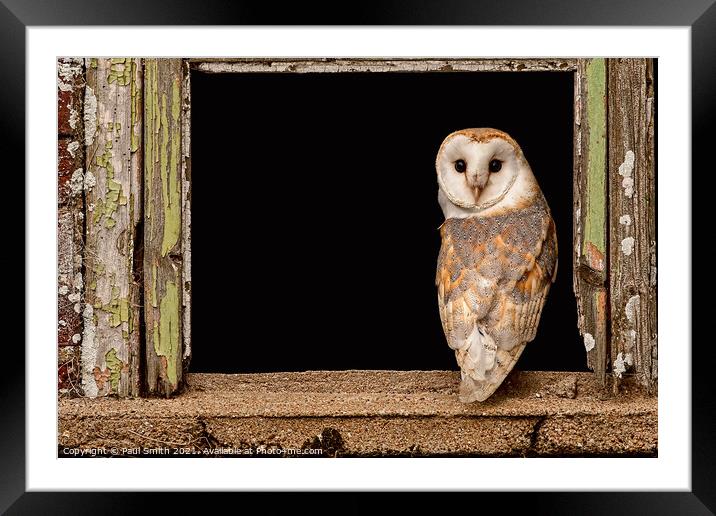 Barn Owl in Old Barn Window Framed Mounted Print by Paul Smith