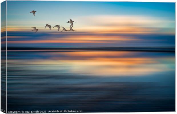 Godwits Flying over Brancaster Beach Canvas Print by Paul Smith
