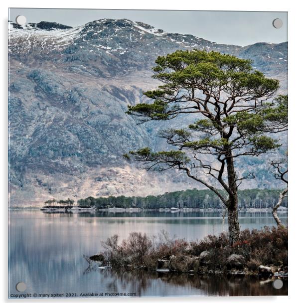 Magical Loch Maree Acrylic by mary spiteri
