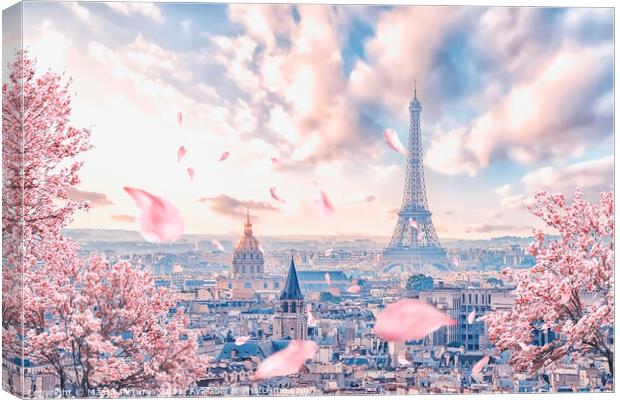 French sakura Canvas Print by Manjik Pictures