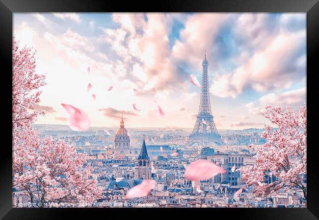 French sakura Framed Print by Manjik Pictures
