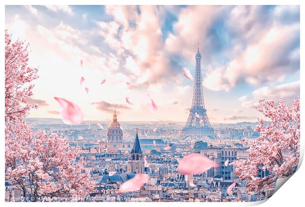 French sakura Print by Manjik Pictures