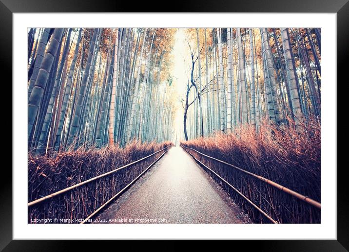 Bamboo forest Framed Mounted Print by Manjik Pictures