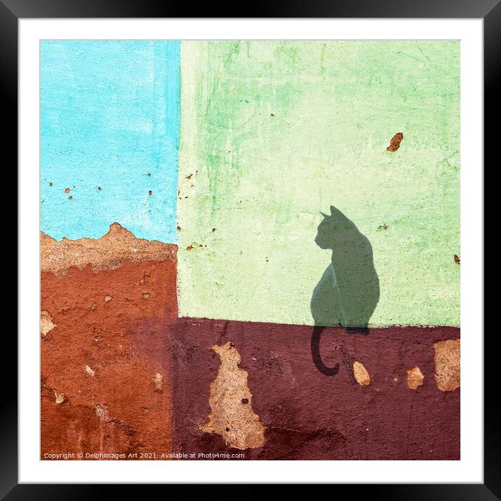 Black cat sitting on a colourful wall in Cuba Framed Mounted Print by Delphimages Art
