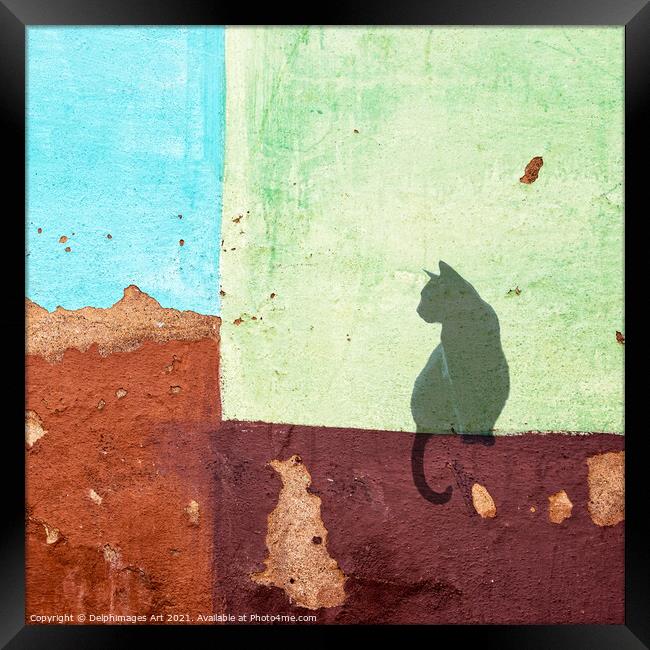 Black cat sitting on a colourful wall in Cuba Framed Print by Delphimages Art