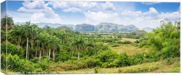 Cuba. Panorama of Vinales Valley Canvas Print by Delphimages Art