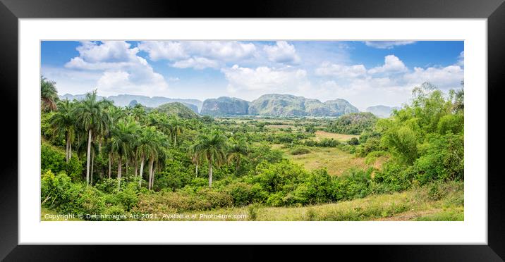 Cuba. Panorama of Vinales Valley Framed Mounted Print by Delphimages Art