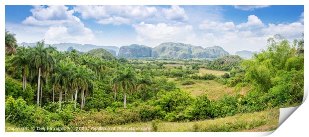 Cuba. Panorama of Vinales Valley Print by Delphimages Art