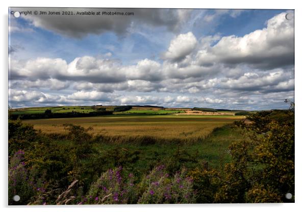 Rural Northumberland Acrylic by Jim Jones
