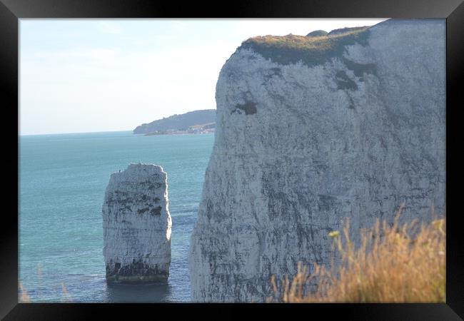 Old Harry Rocks Framed Print by John Bridge