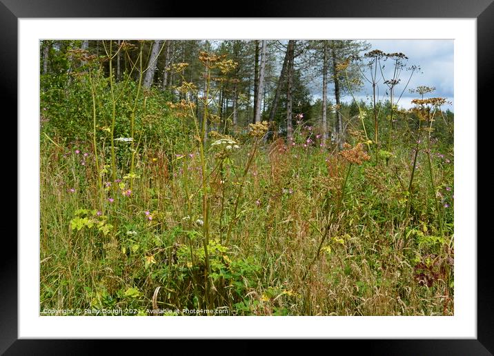 Wild plants wood Framed Mounted Print by Philip Gough