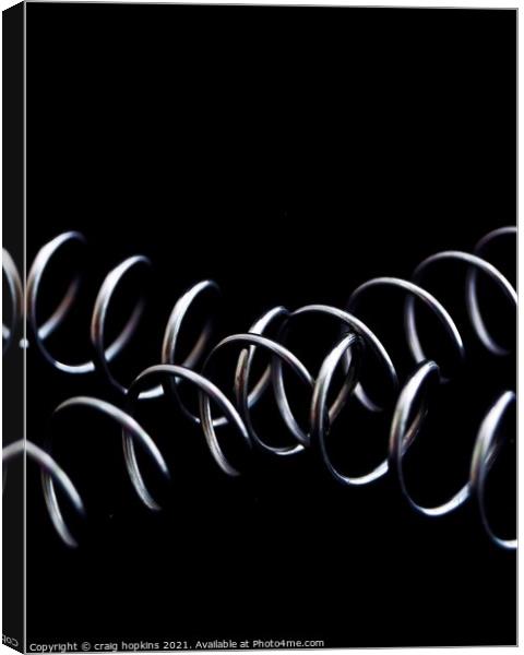 intertwined springs Canvas Print by craig hopkins