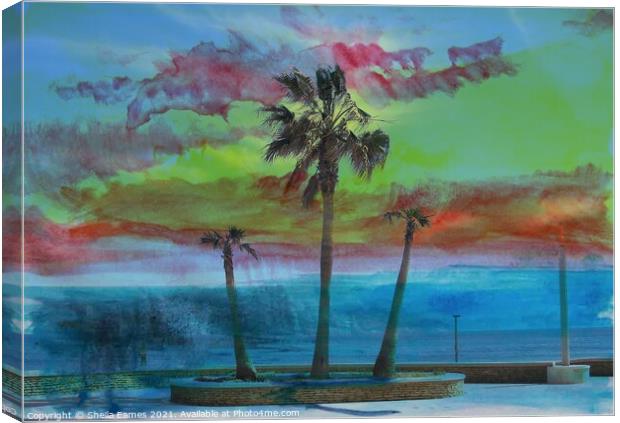 Summer Heat with Palm Trees Canvas Print by Sheila Eames