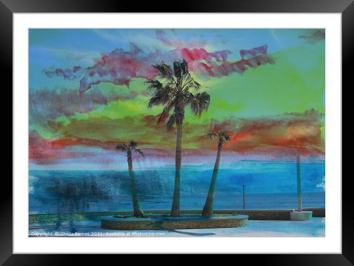 Summer Heat with Palm Trees Framed Mounted Print by Sheila Eames