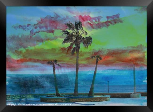 Summer Heat with Palm Trees Framed Print by Sheila Eames