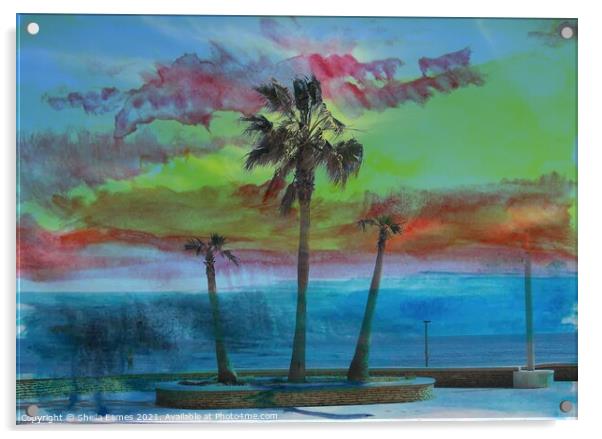 Summer Heat with Palm Trees Acrylic by Sheila Eames