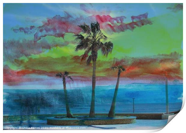 Summer Heat with Palm Trees Print by Sheila Eames