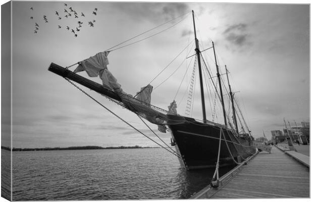 Saling boat on Ontatio Lake Canvas Print by Elijah Lovkoff