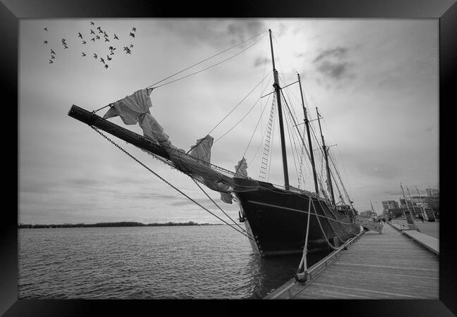 Saling boat on Ontatio Lake Framed Print by Elijah Lovkoff