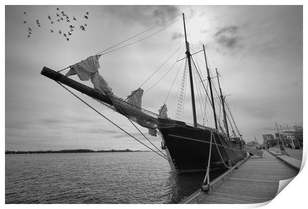 Saling boat on Ontatio Lake Print by Elijah Lovkoff