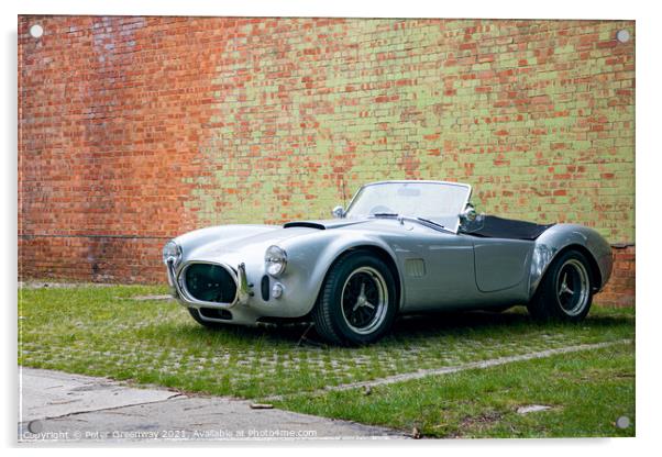 CLASSIC COBRA SPORTS CAR SILVER Acrylic by Peter Greenway