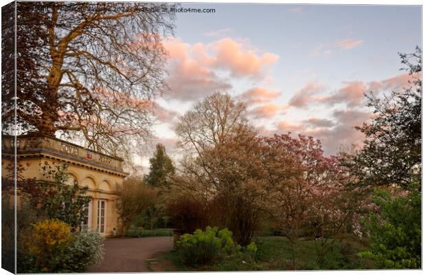 Cotton Candy skies at the Botanical Garden Canvas Print by Duncan Savidge