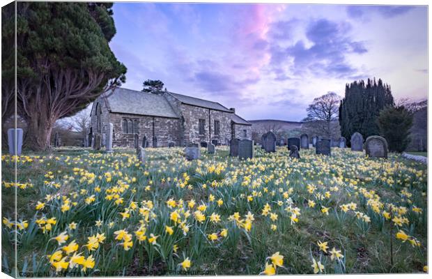 Spring daffodils at St Mary's church in Farnedale, North Yorkshi Canvas Print by Martin Williams
