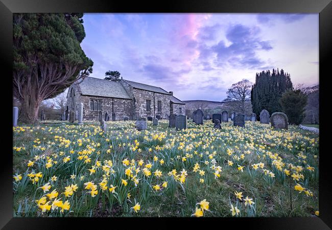 Spring daffodils at St Mary's church in Farnedale, North Yorkshi Framed Print by Martin Williams