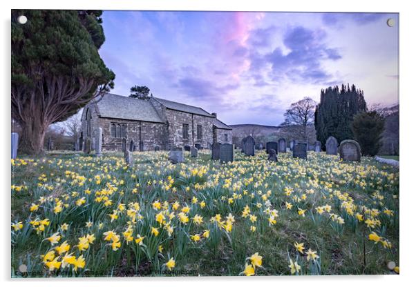 Spring daffodils at St Mary's church in Farnedale, North Yorkshi Acrylic by Martin Williams
