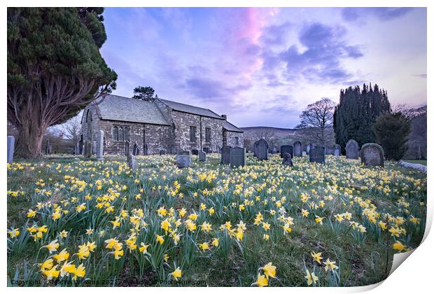Spring daffodils at St Mary's church in Farnedale, North Yorkshi Print by Martin Williams