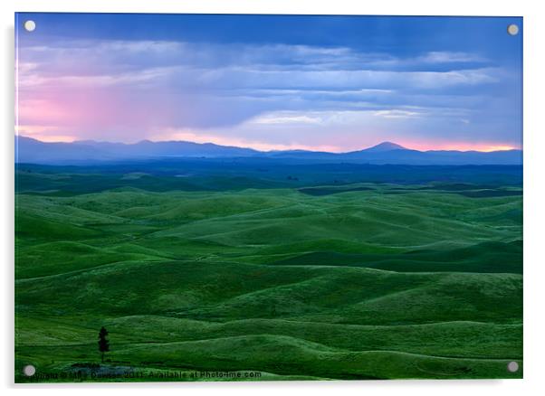 Red Dawn over the Palouse Acrylic by Mike Dawson