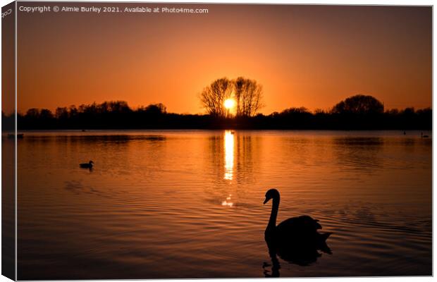 Swan at sunset  Canvas Print by Aimie Burley