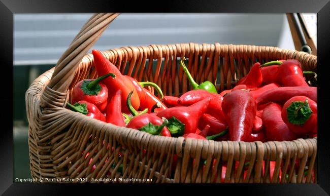 Spicy red peppers in a wicker basket Framed Print by Paulina Sator