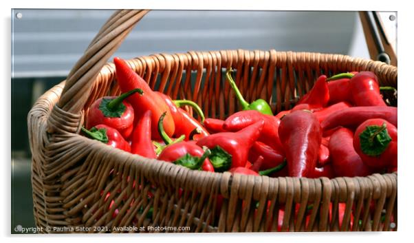 Spicy red peppers in a wicker basket Acrylic by Paulina Sator