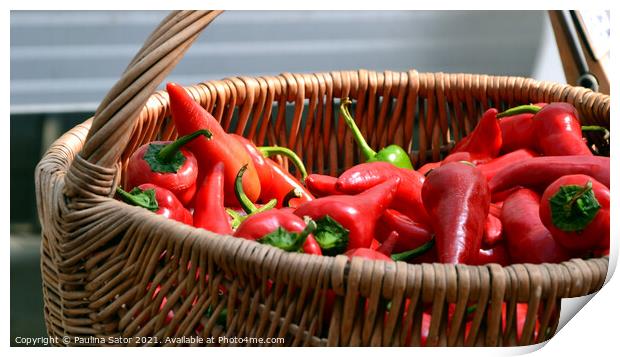 Spicy red peppers in a wicker basket Print by Paulina Sator