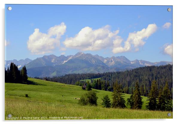 Tatra Mountains panorama. Poland Acrylic by Paulina Sator