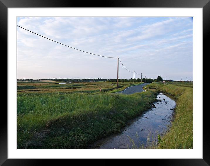 River by road Framed Mounted Print by mark donald