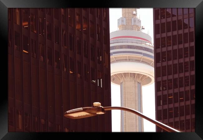 Toronto, famous CN Tower overlooking Ontario Lake Framed Print by Elijah Lovkoff