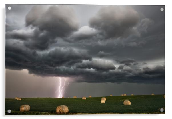 Summer Storm Canada Acrylic by Mark Duffy