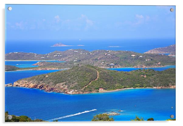 Cruise vacation on caribbean islands Acrylic by Elijah Lovkoff