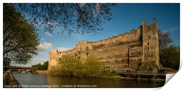 Newark Castle Print by Peter Anthony Rollings