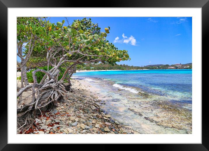 Sapphire beach on St. Thomas island Framed Mounted Print by Elijah Lovkoff
