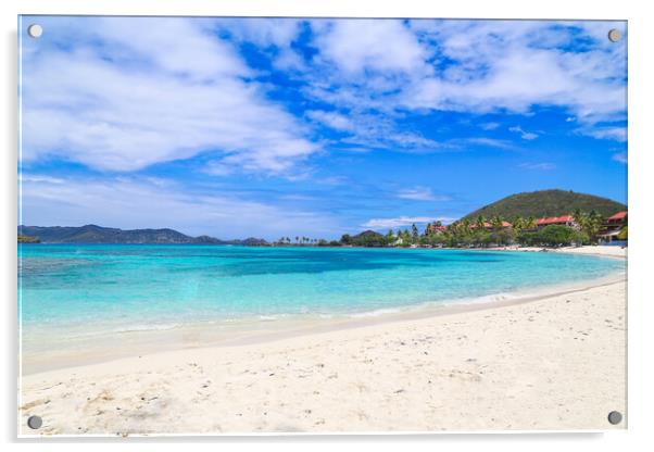 Famous Sapphire beach on St. Thomas island Acrylic by Elijah Lovkoff