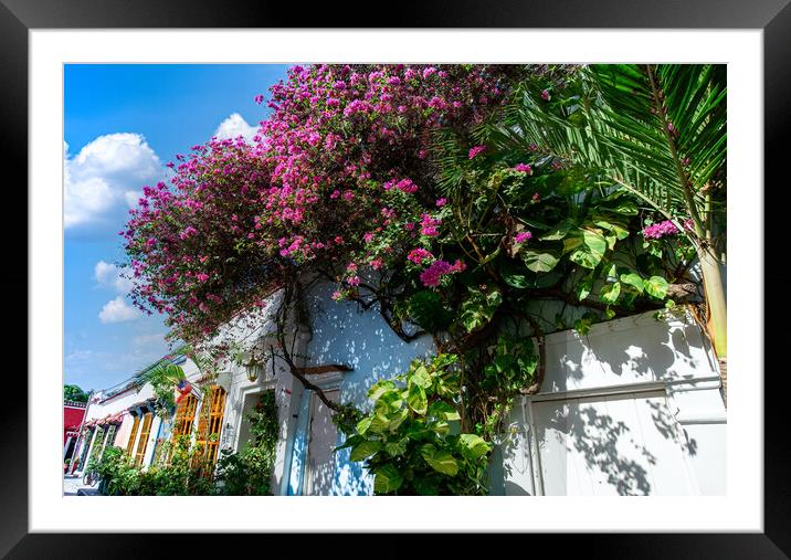 Colombia, Scenic colorful streets of Cartagena in historic Getsemani district near Walled City, Ciudad Amurallada Framed Mounted Print by Elijah Lovkoff