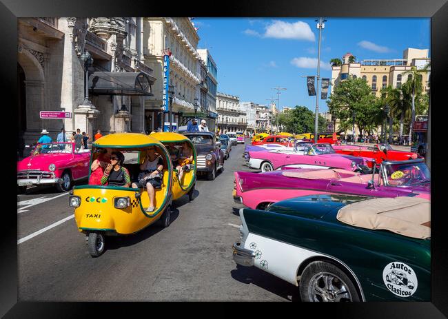 Famous colorful Taxis in Havana Framed Print by Elijah Lovkoff