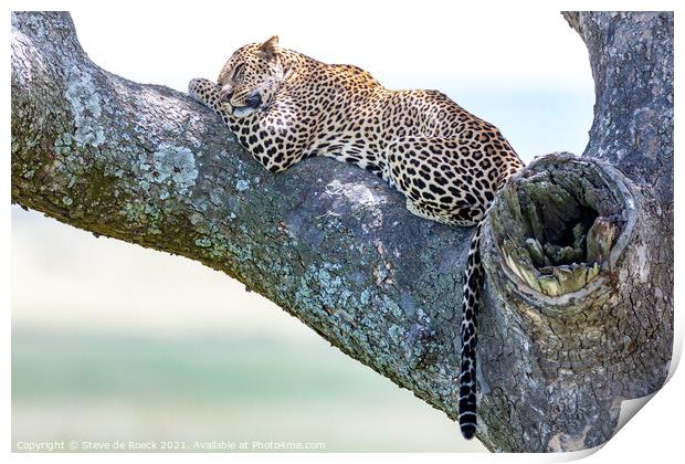 Slumbering Leopard Print by Steve de Roeck