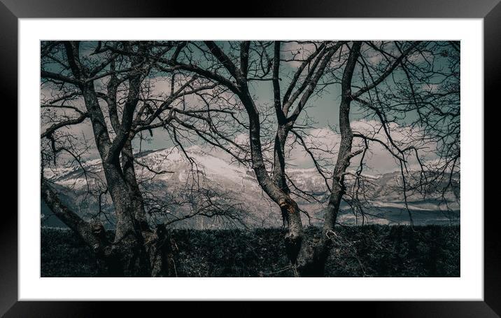 Pollino Reserve Framed Mounted Print by Francesco Stancato