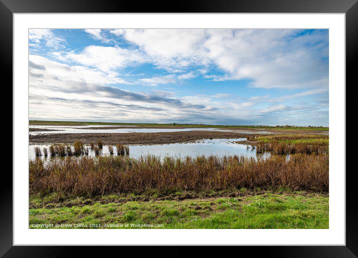 RSPB Frampton Marsh Nature Reserve, England Framed Mounted Print by Dave Collins